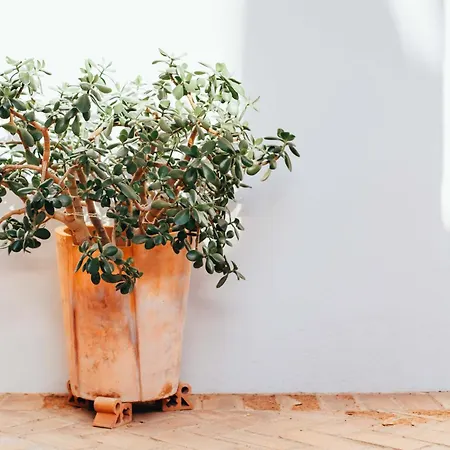 Hotell Convento San Diego Fuentes de León