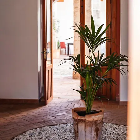 Convento San Diego Hotell 4*