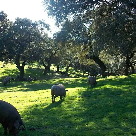 Convento San Diego 4* Fuentes de León