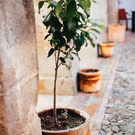 Hotel Boutique Convento San Diego 4*