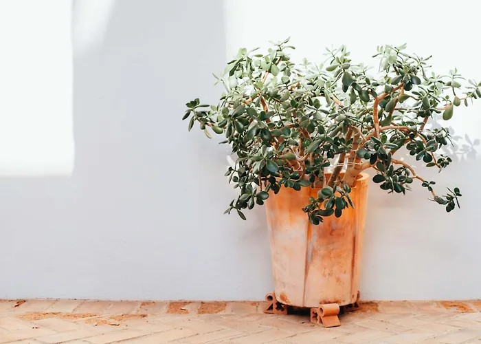 Отель Convento San Diego