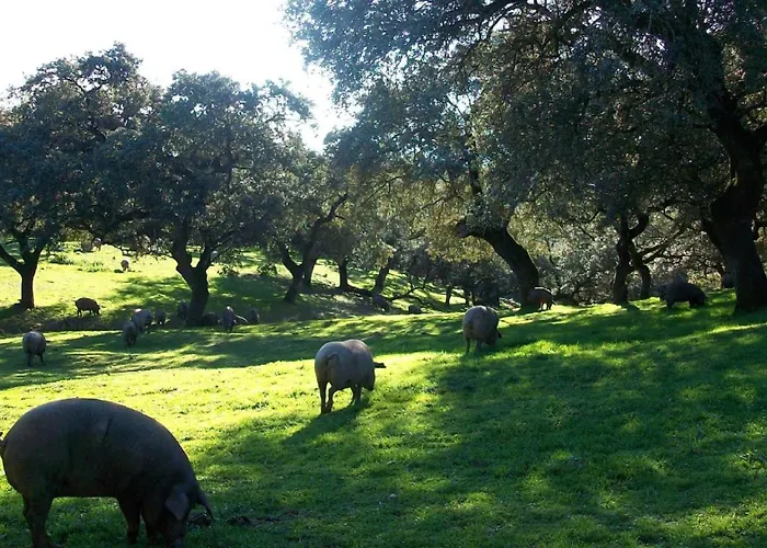 Convento San Diego 4* Фуэнтес-де-Леон