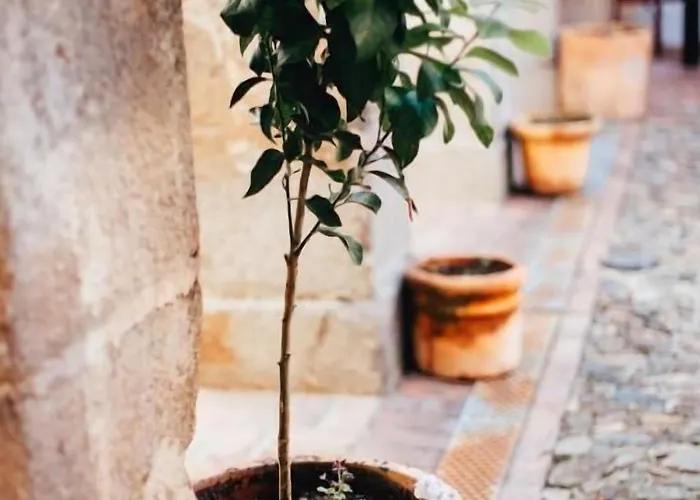 Convento San Diego 4*